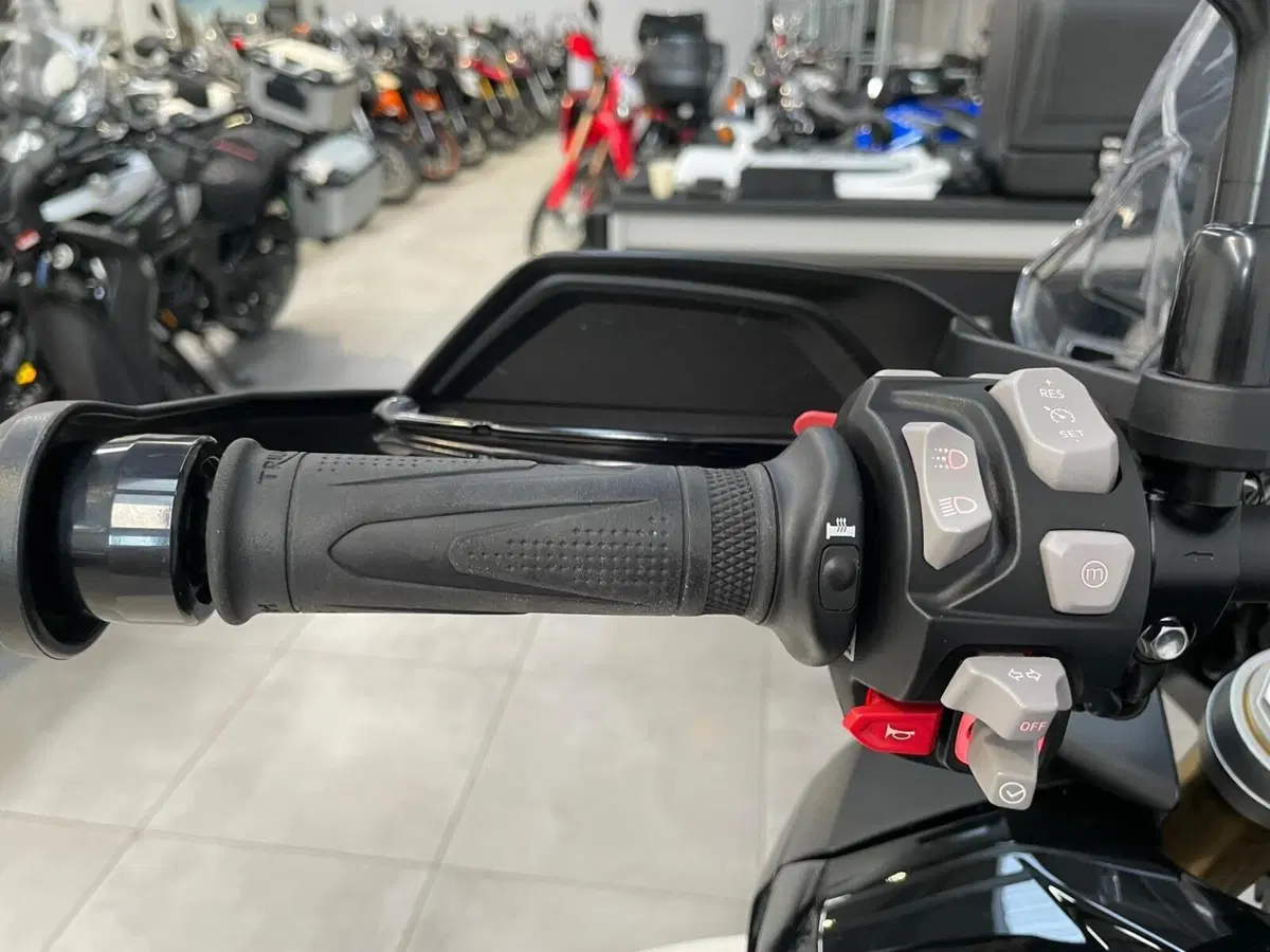 Triumph Tiger 1200 Rally Pro (2022 - 23) (16)
