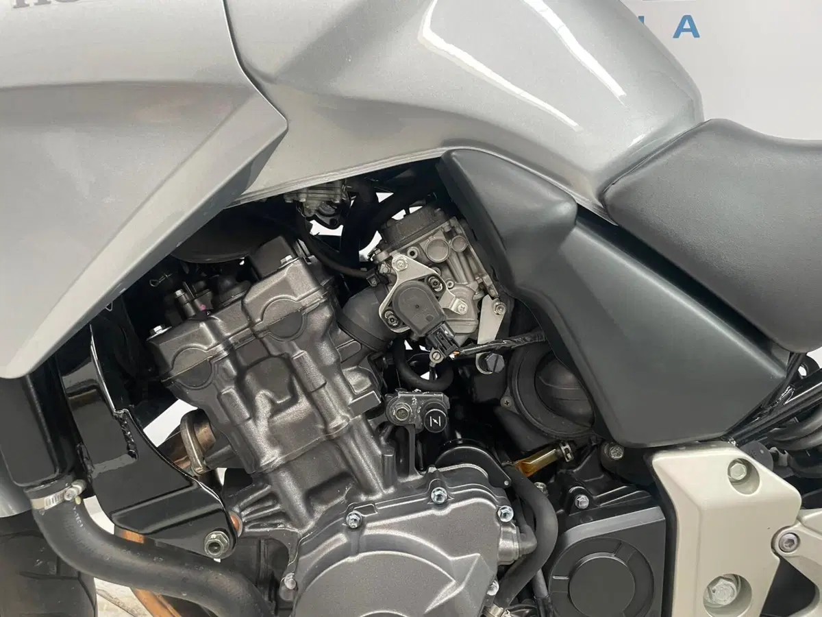 Honda CBF 600 (2004 - 06) (14)