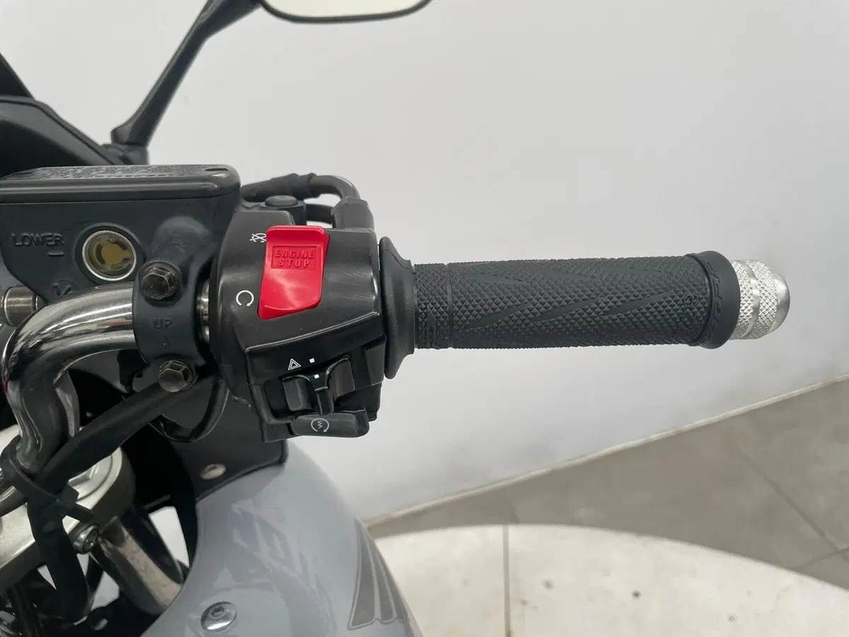 Honda CBF 600 (2004 - 06) (15)