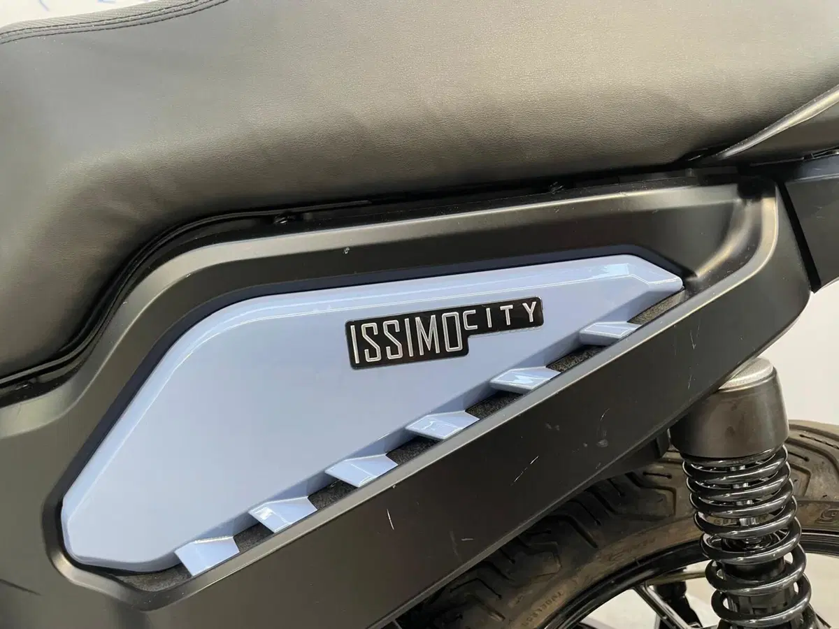 Fantic Motor Issimo 45 (2022 - 26) (9)
