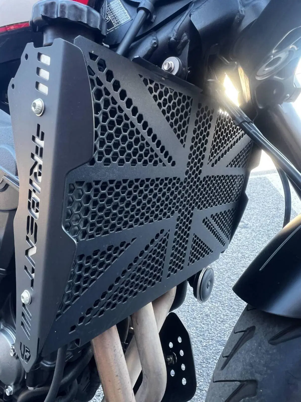 Triumph Trident 660 (2021 - 24) (8)