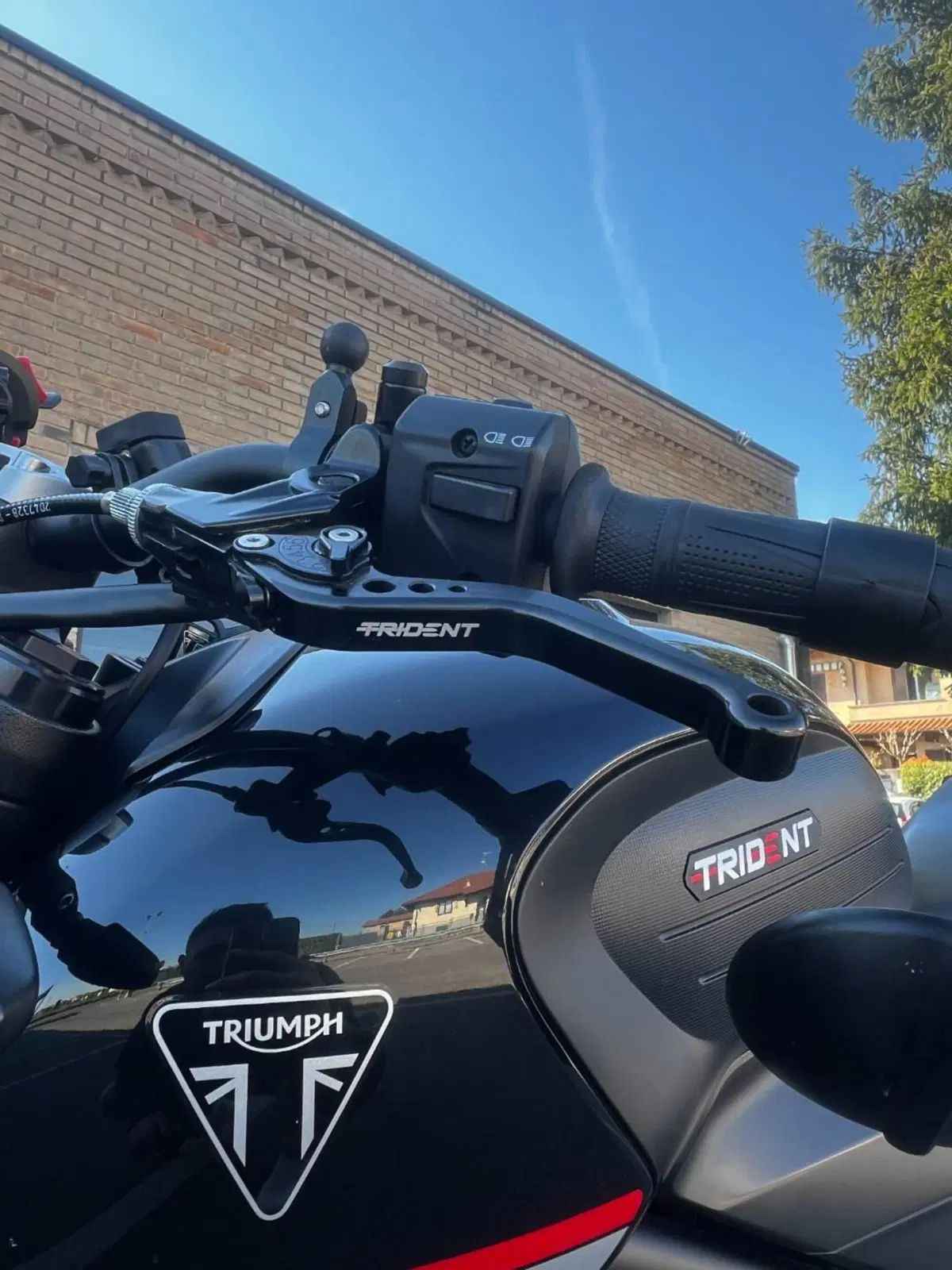 Triumph Trident 660 (2021 - 24) (9)