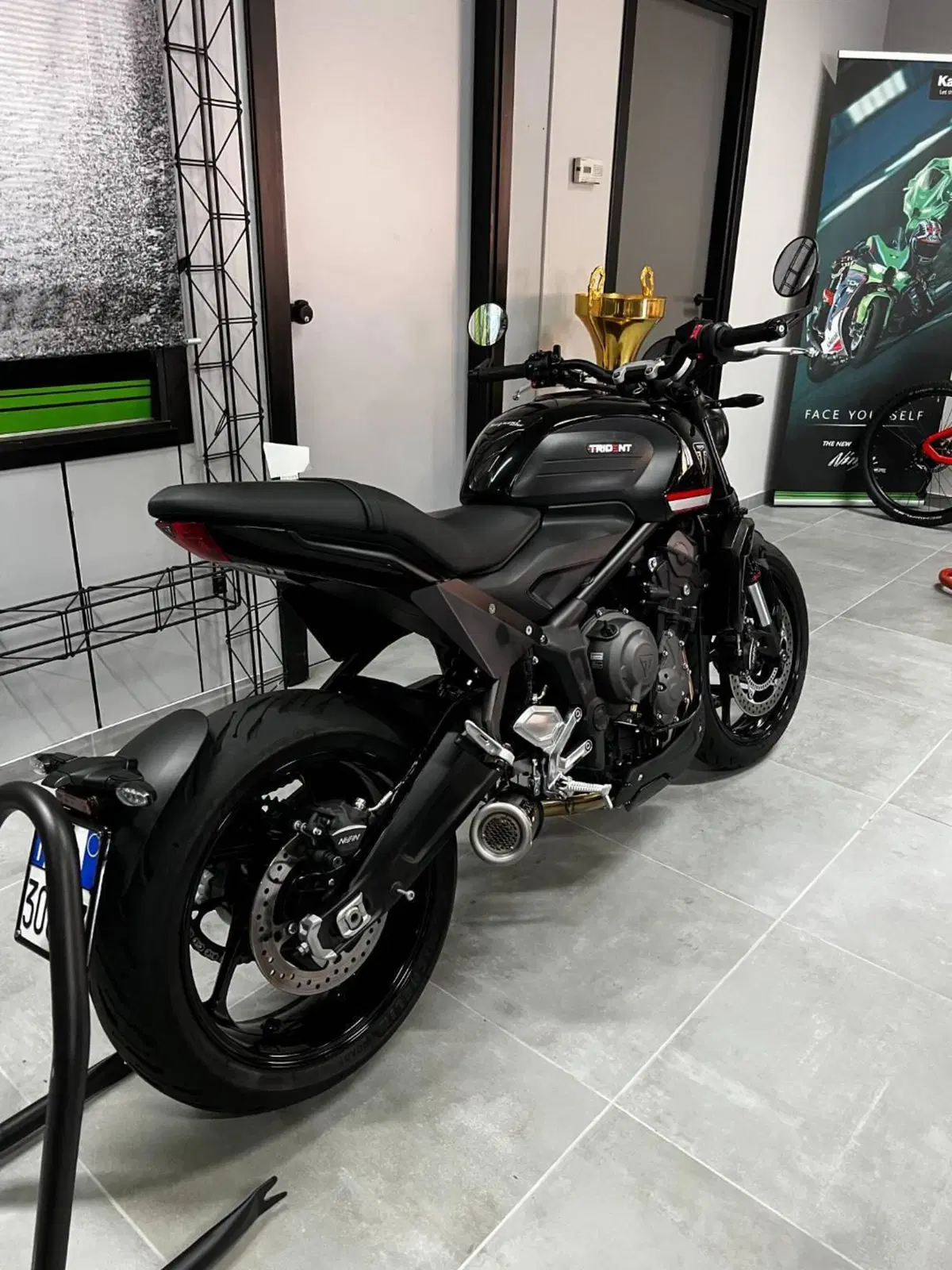 Triumph Trident 660 (2021 - 24) (2)