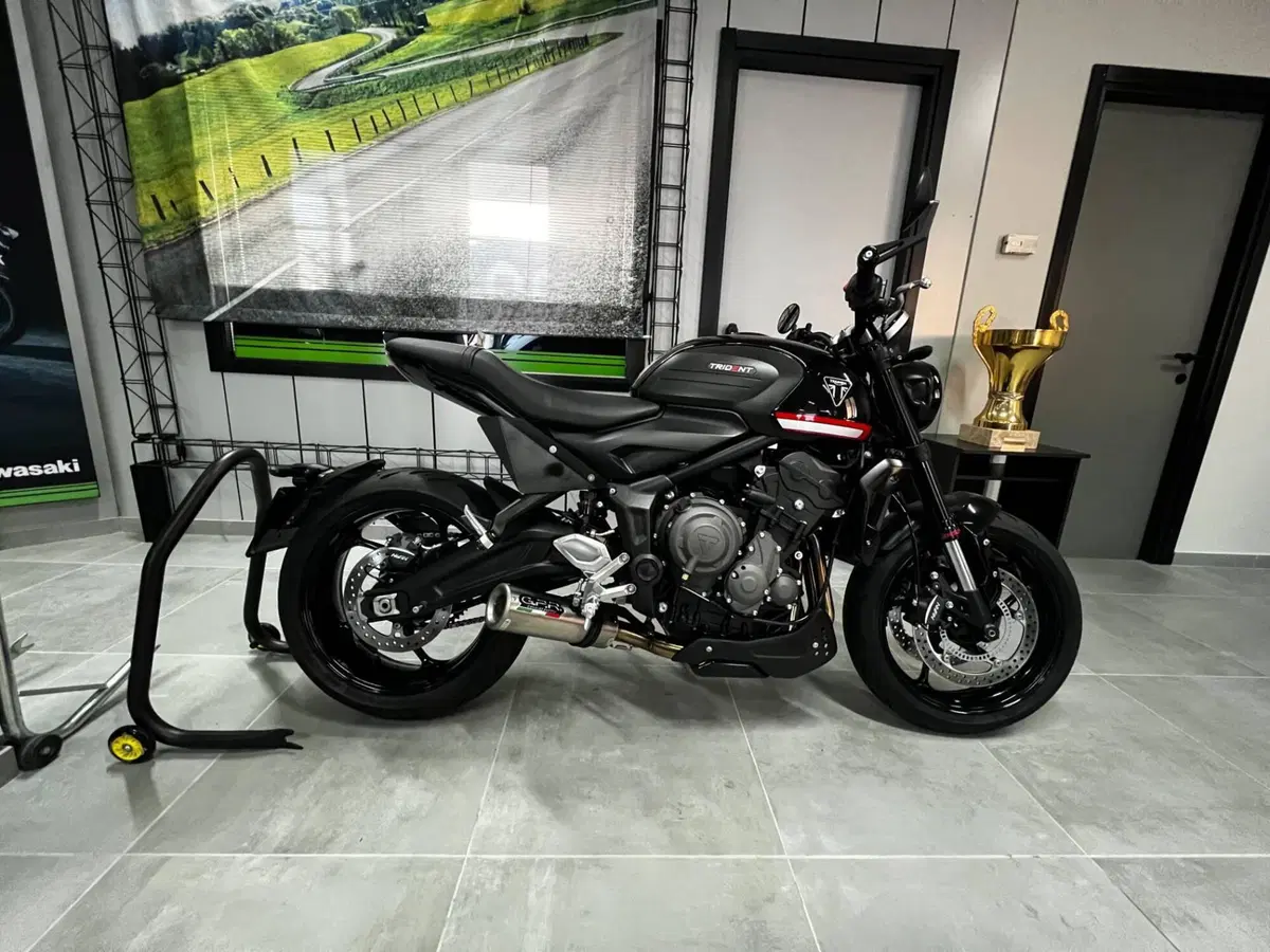 Triumph Trident 660 (2021 - 24)