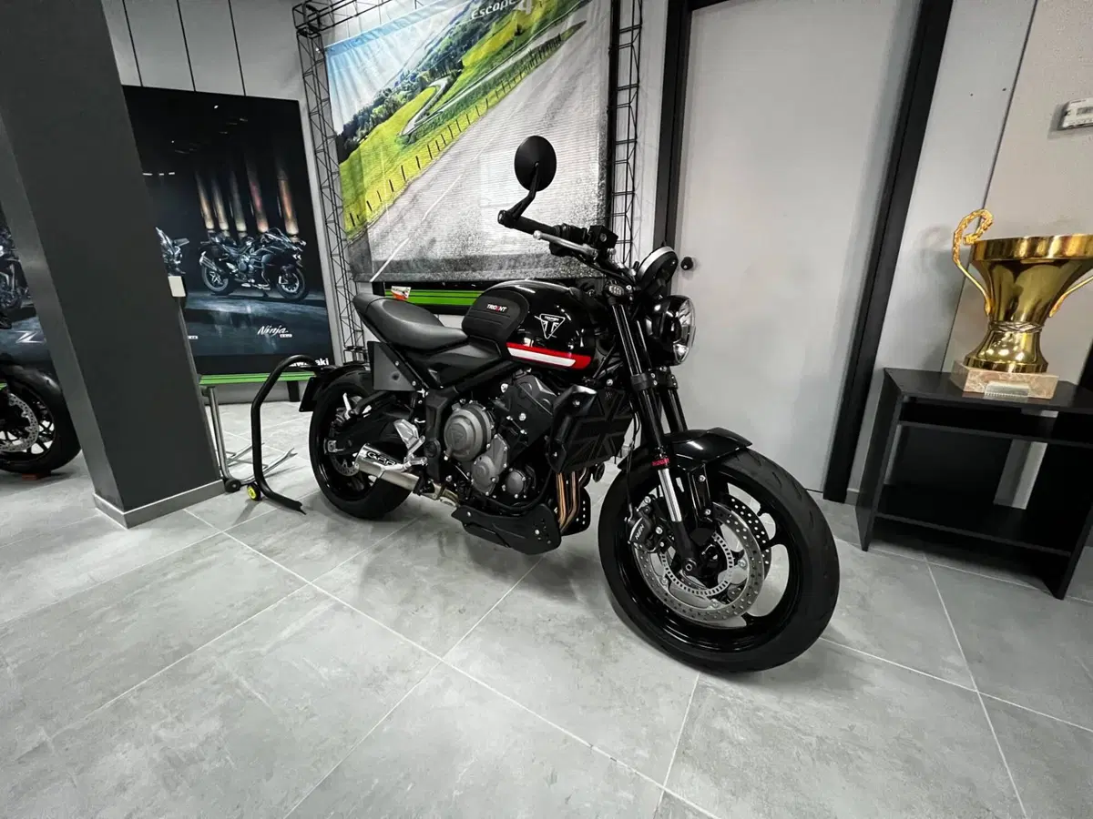 Triumph Trident 660 (2021 - 24) (5)