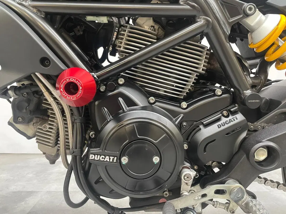 Ducati Monster 797 Plus (2019) (5)