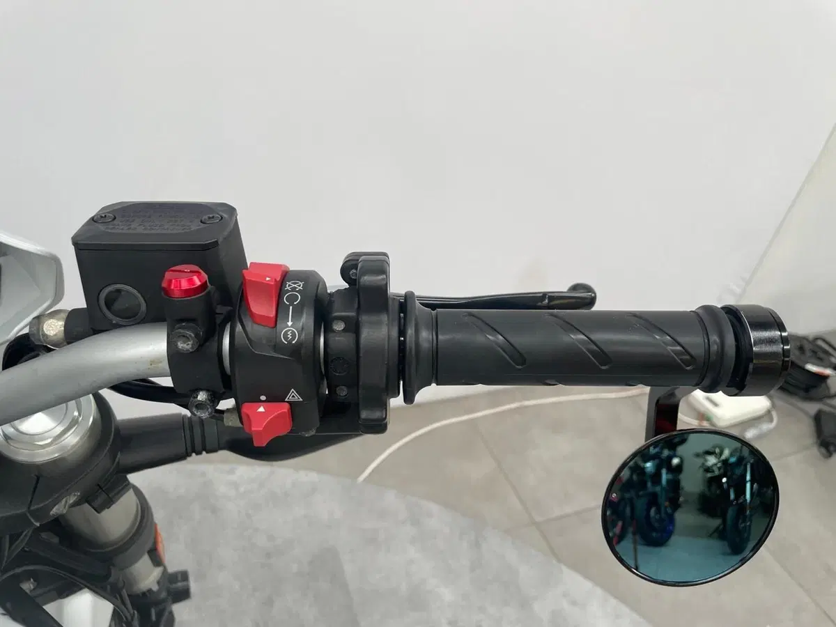 Ducati Monster 797 Plus (2019) (7)