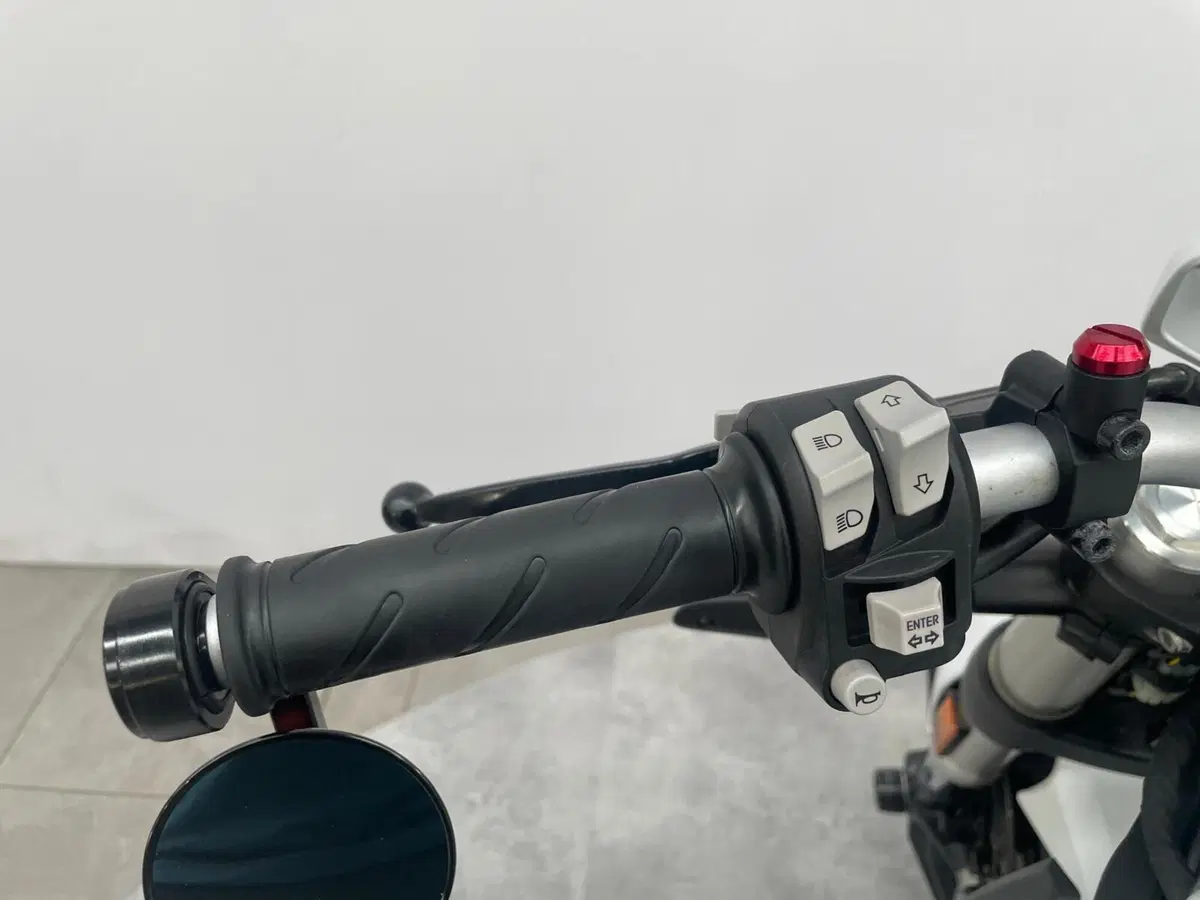 Ducati Monster 797 Plus (2019) (8)