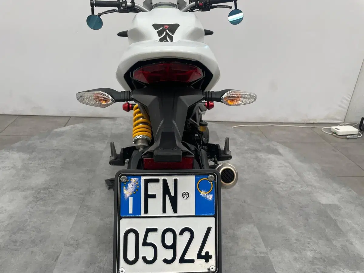 Ducati Monster 797 Plus (2019) (9)