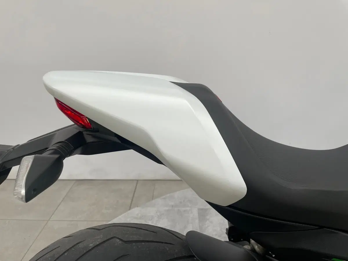 Ducati Monster 797 Plus (2019) (11)