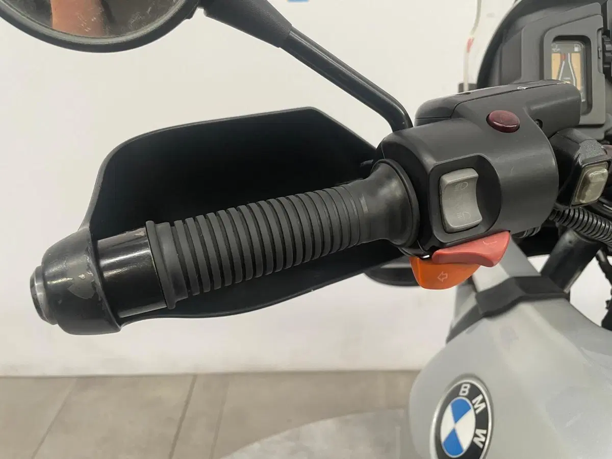 Bmw R 1150 GS (1999 - 03) (7)