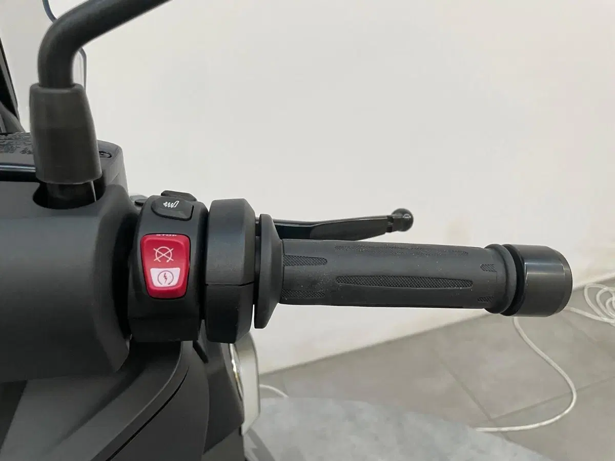 Bmw C 400 X (2021 - 24) (14)