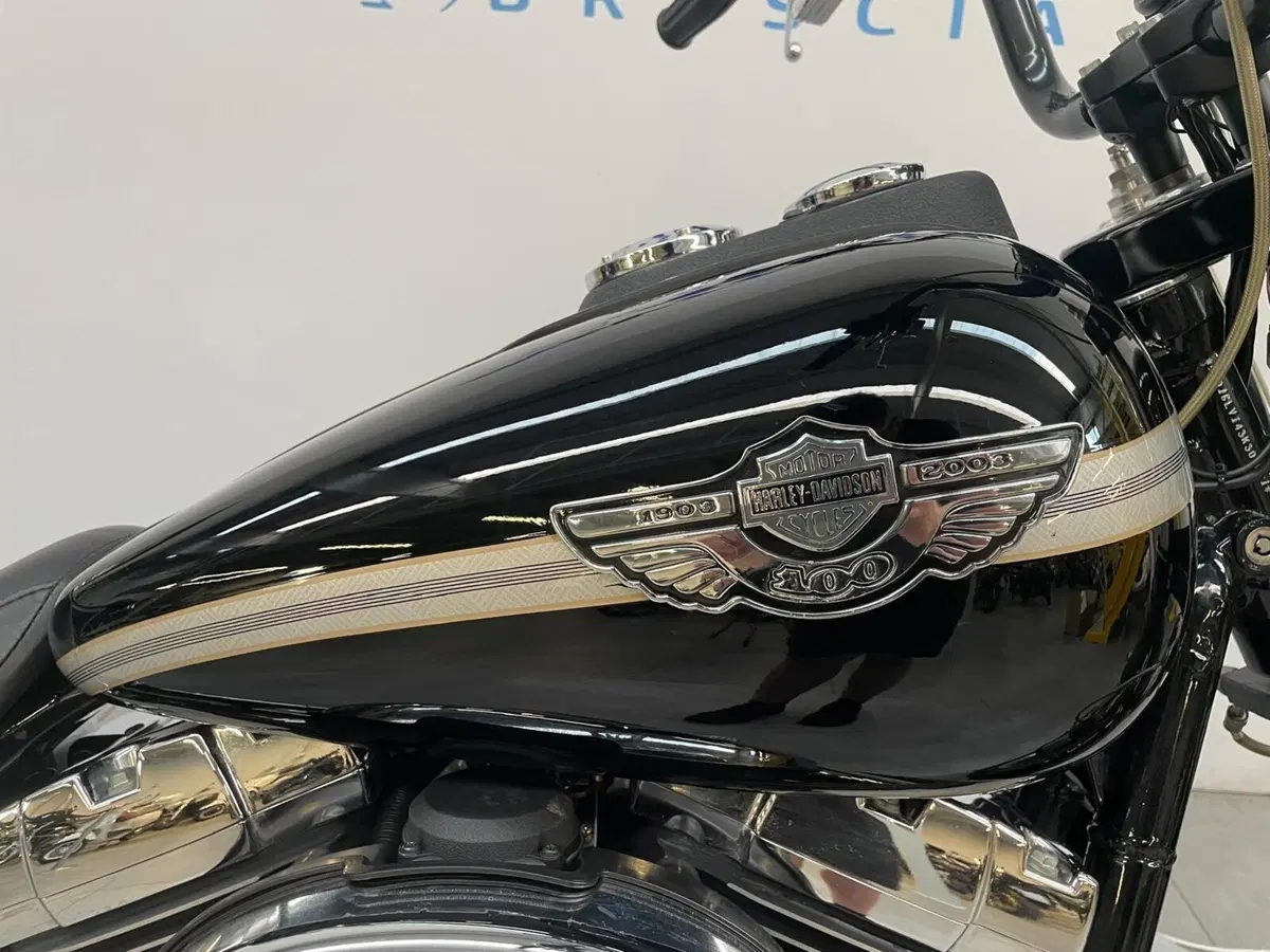 Harley-Davidson 1450 Super Glide T-Sport (2001 - 03) - FXDXT (3)