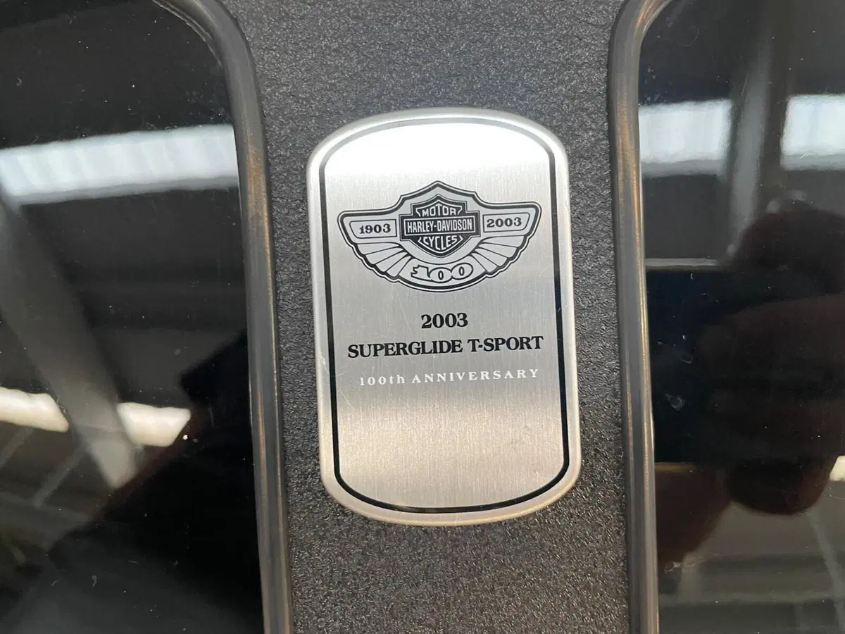 Harley-Davidson 1450 Super Glide T-Sport (2001 - 03) - FXDXT (10)