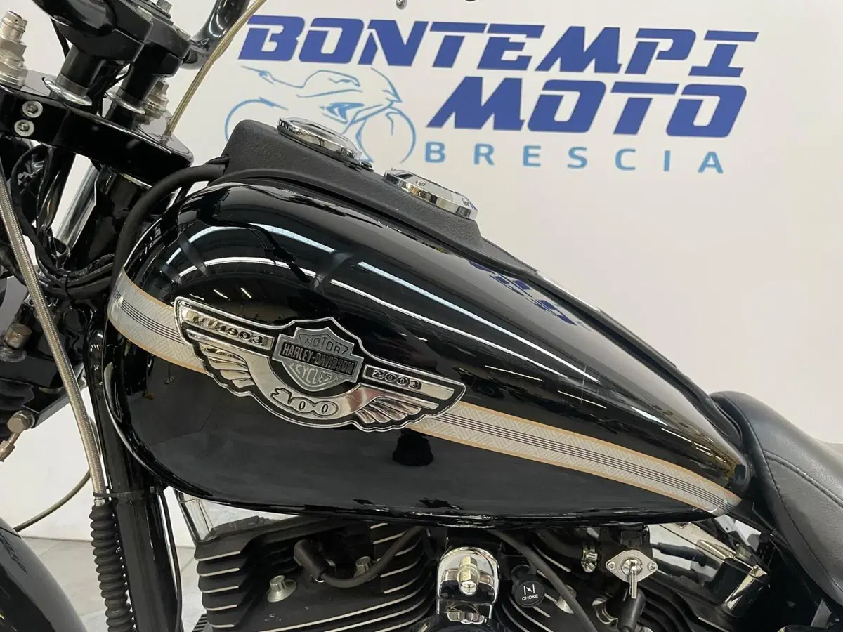 Harley-Davidson 1450 Super Glide T-Sport (2001 - 03) - FXDXT (11)