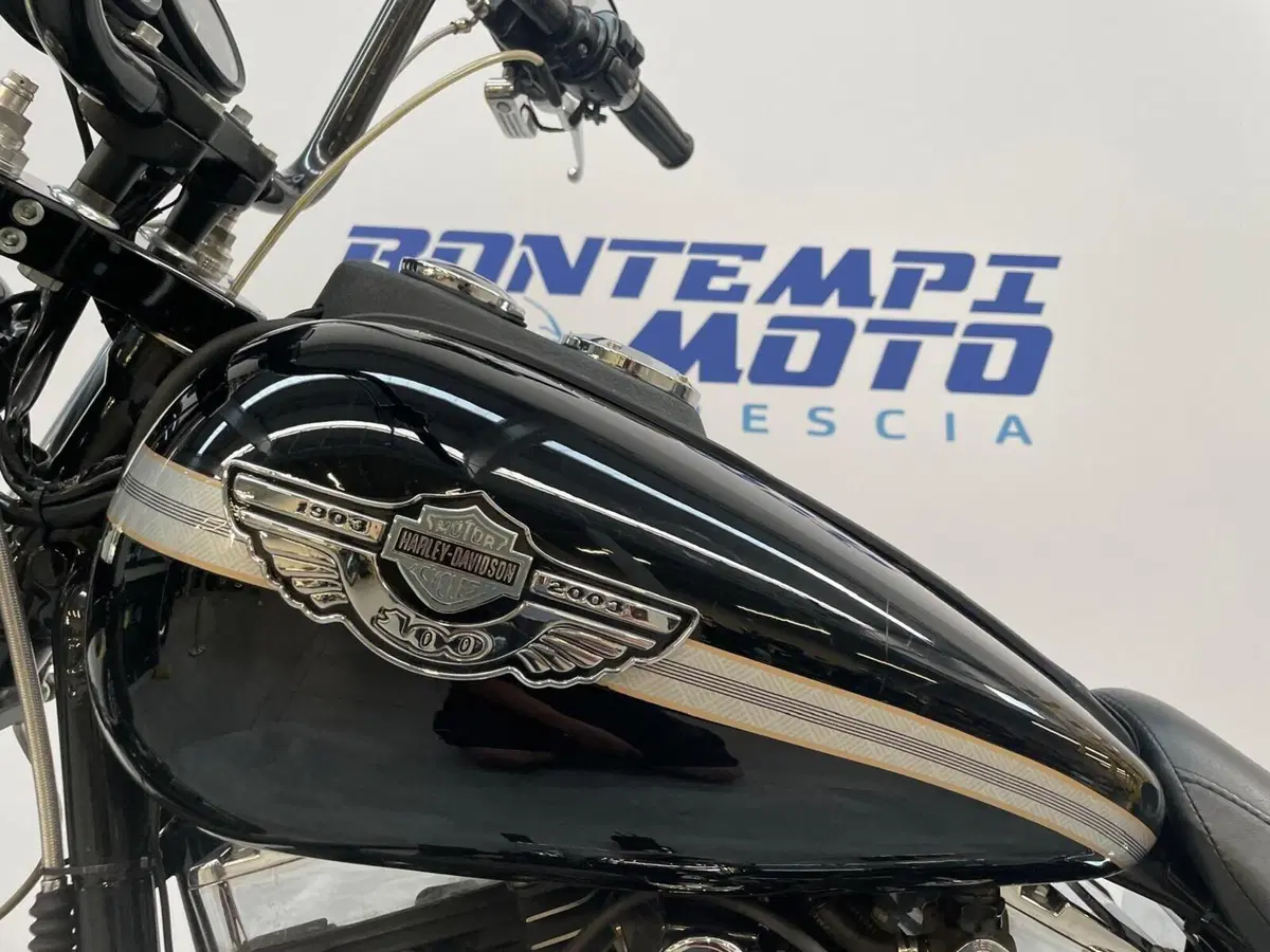 Harley-Davidson 1450 Super Glide T-Sport (2001 - 03) - FXDXT (19)