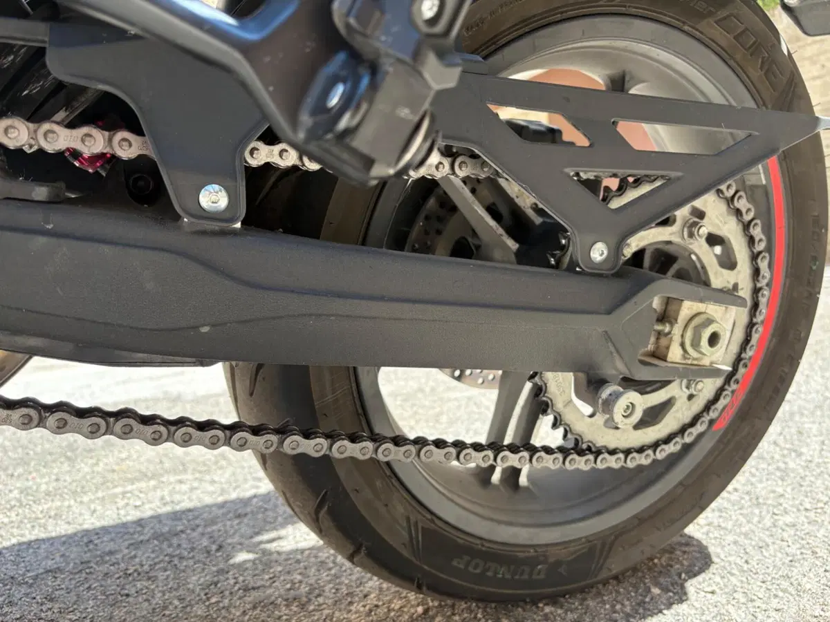 Benelli TRK 702 (2023 - 25) (5)