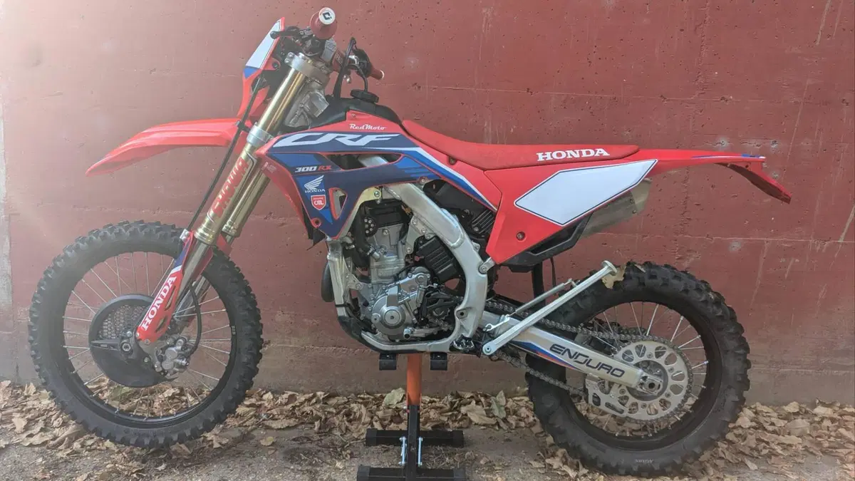 Honda CRF 300RX Enduro (2023) (7)