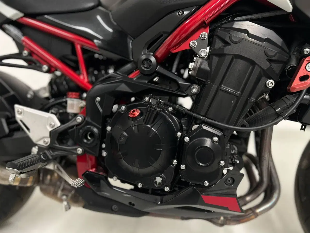 Kawasaki Z 900 A2 (2021 - 24) (4)