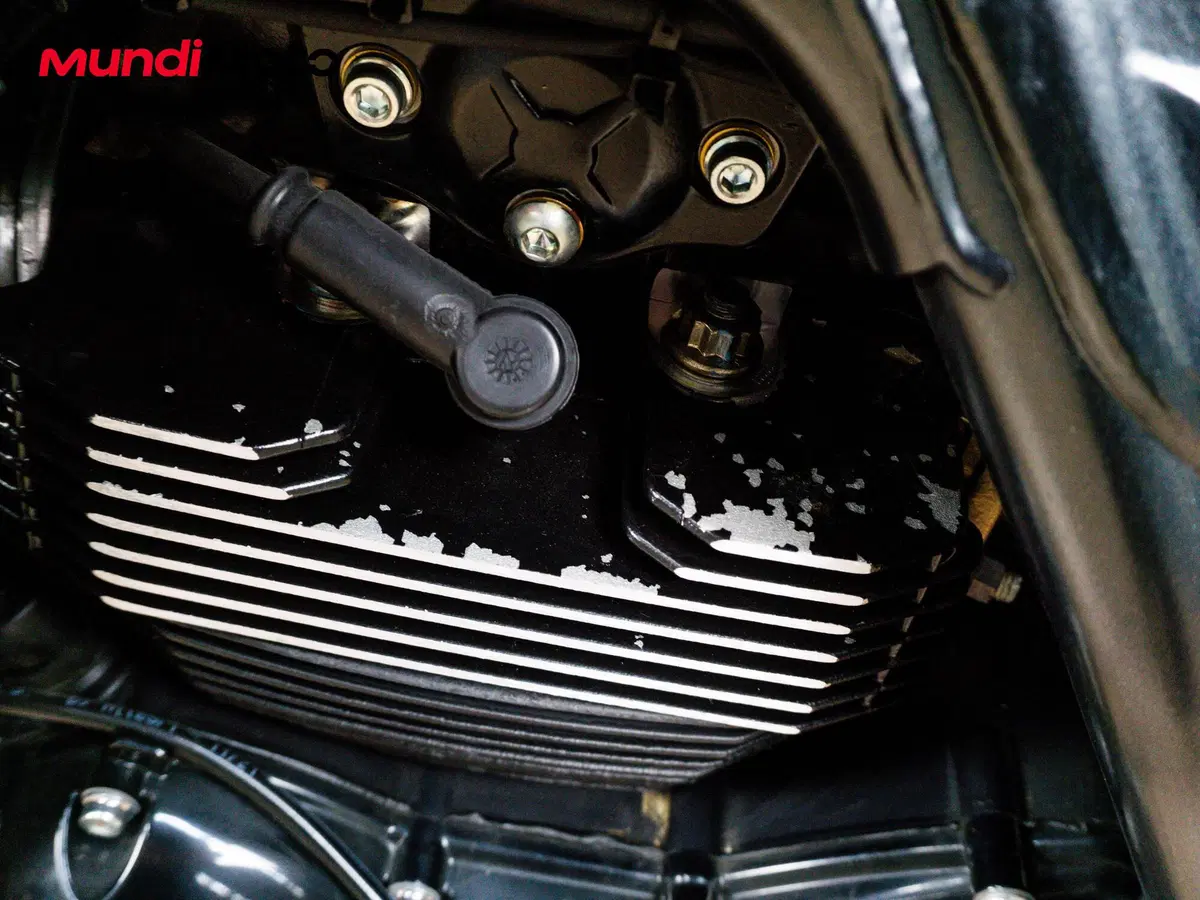 Ducati Scrambler 800 Urban Motard (2022) (14)