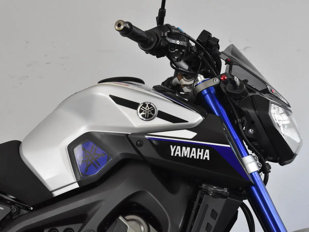 Yamaha MT-09 (2013 - 15) (8)