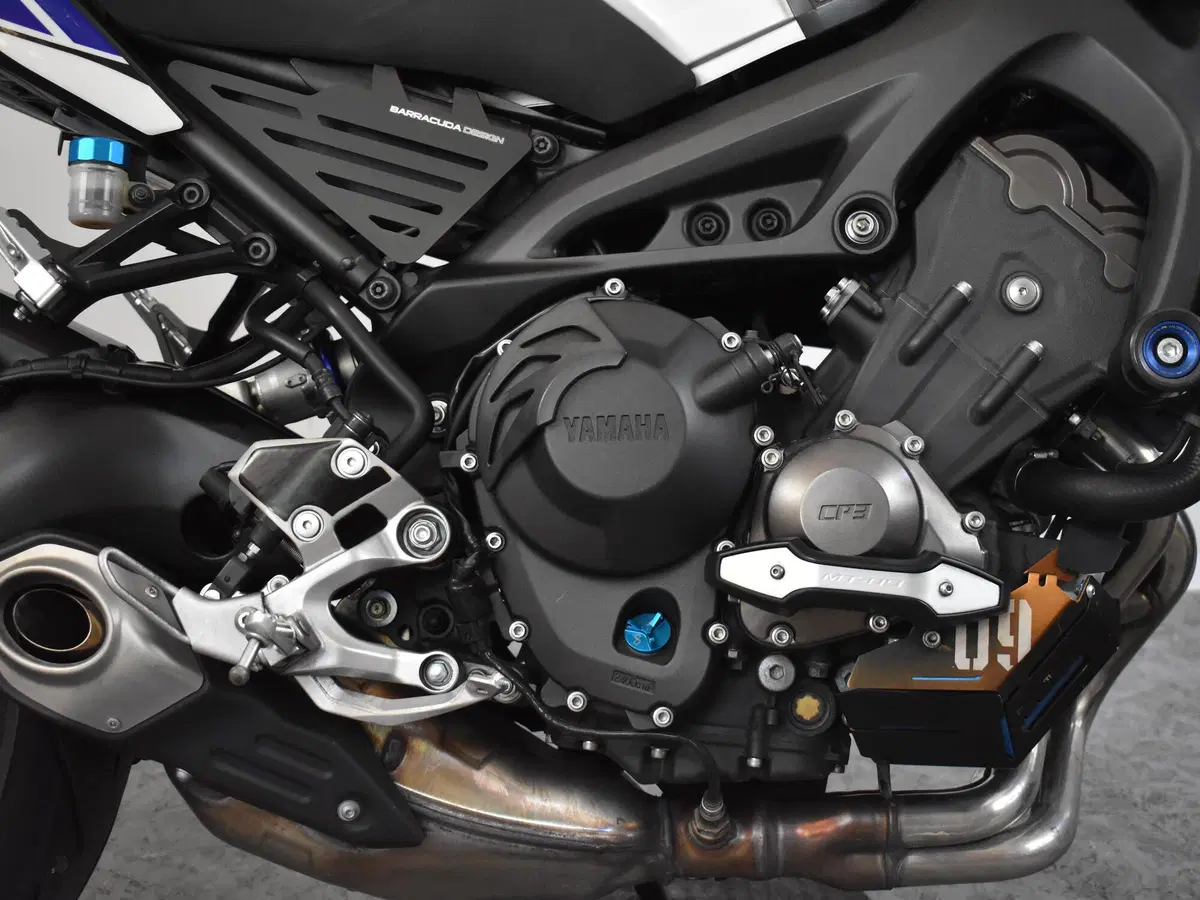 Yamaha MT-09 (2013 - 15) (9)