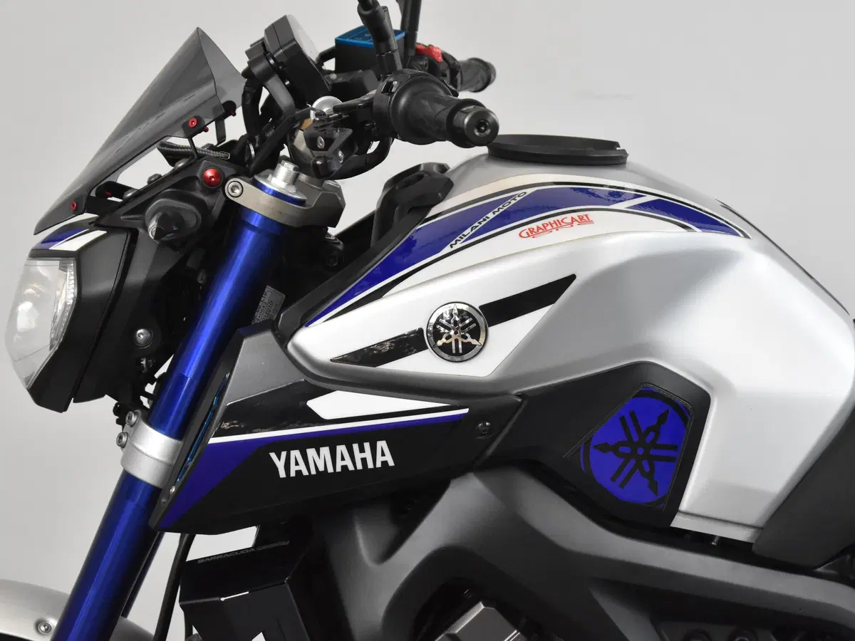 Yamaha MT-09 (2013 - 15) (13)