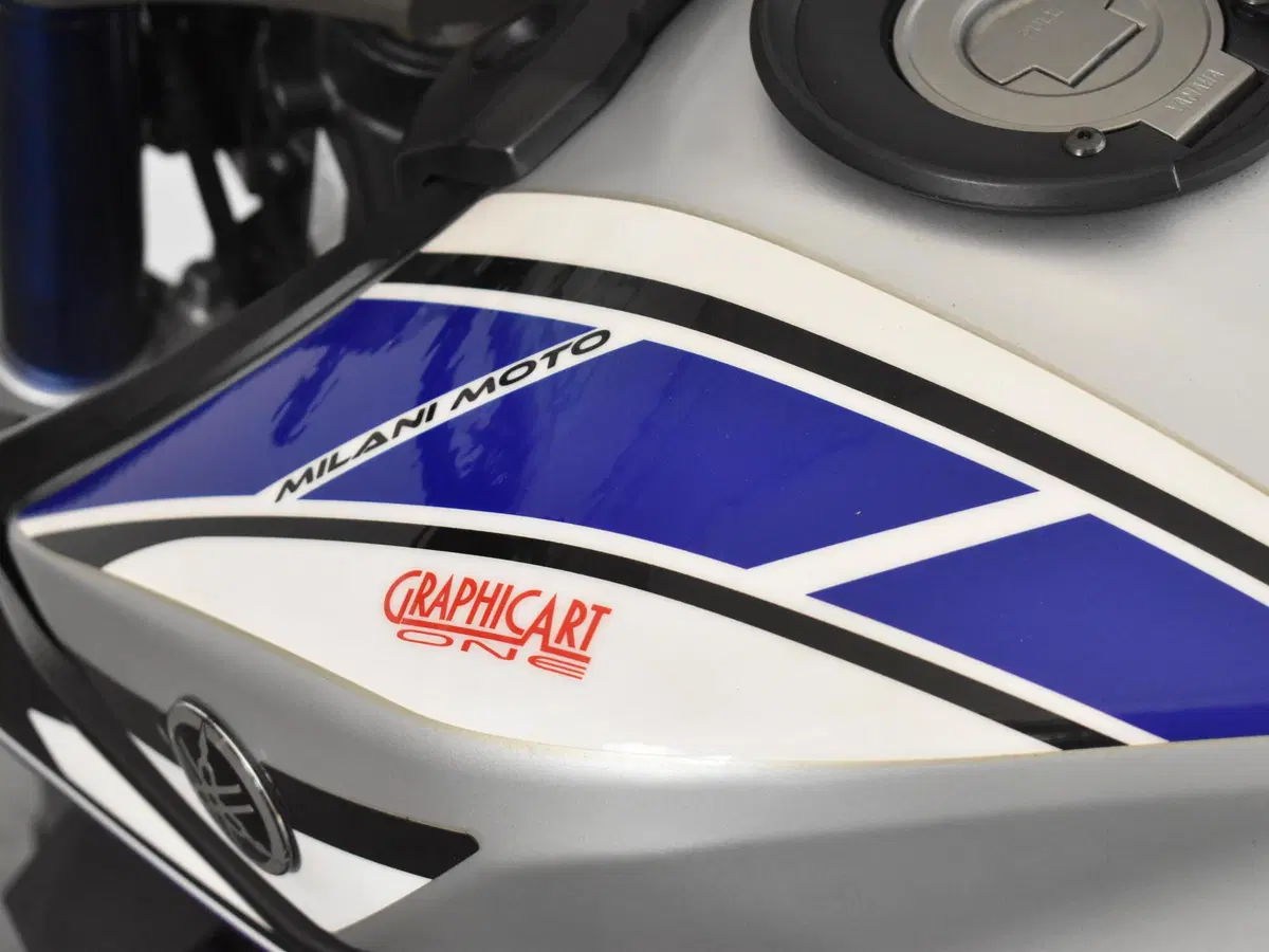 Yamaha MT-09 (2013 - 15) (19)
