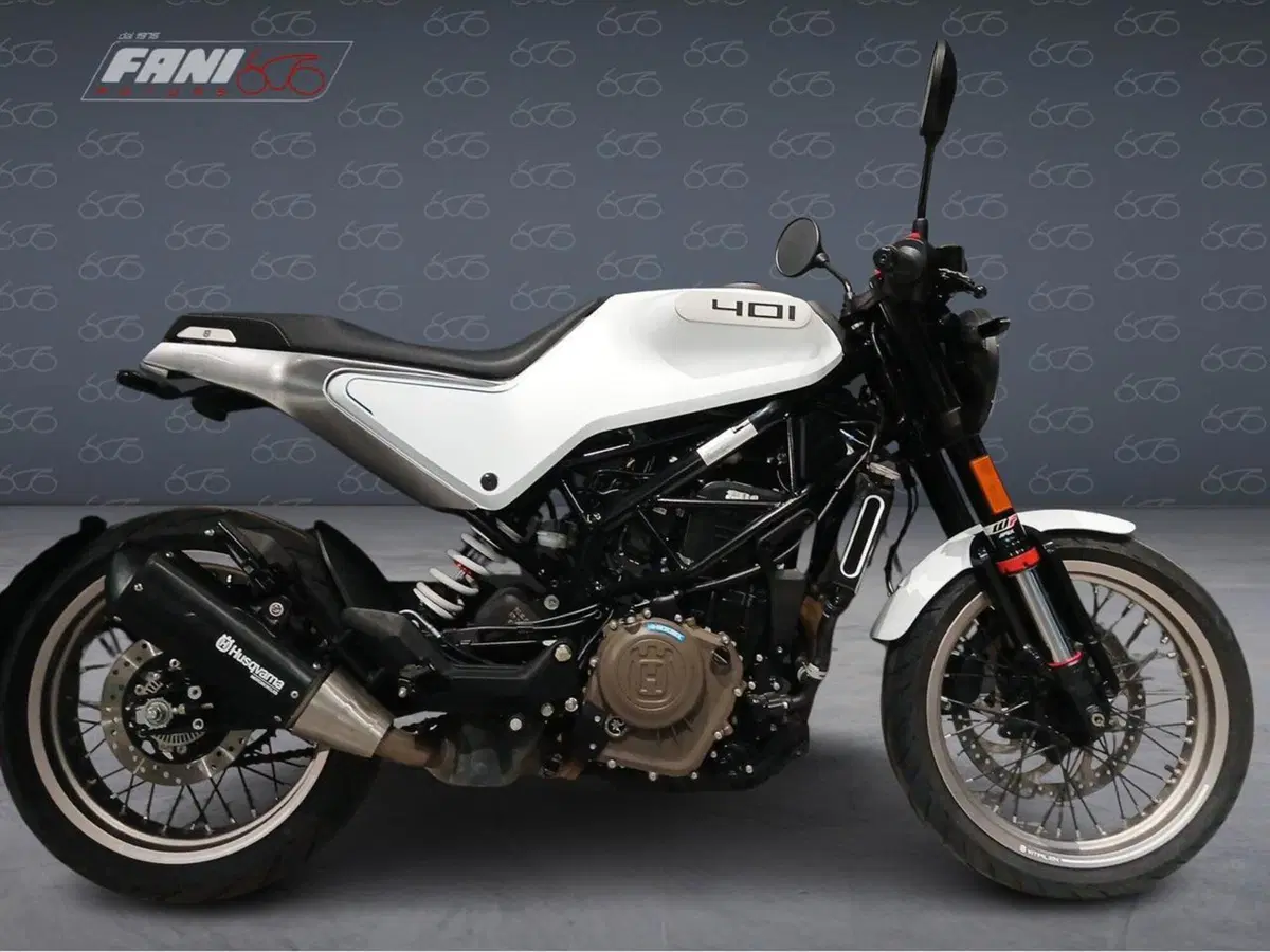 Husqvarna Vitpilen 401 (2021 - 23)