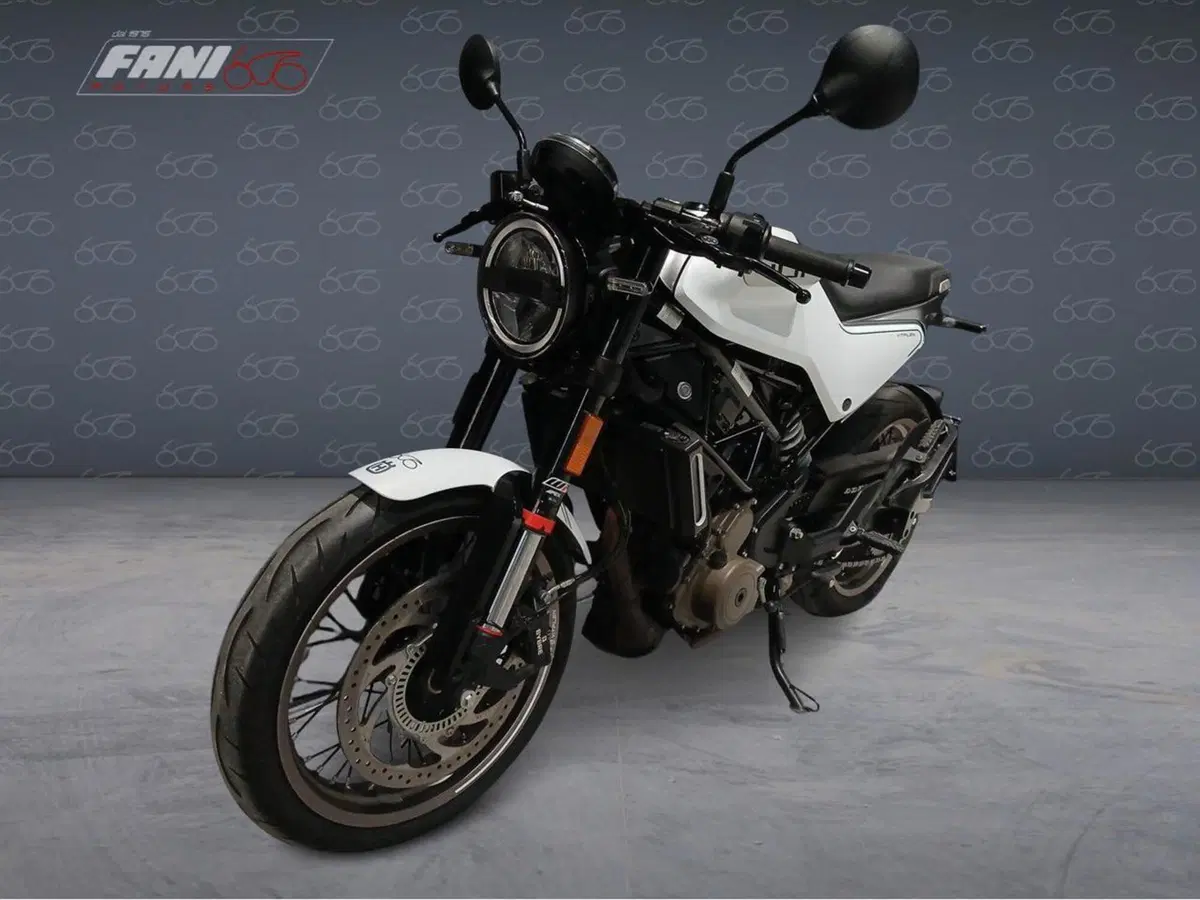 Husqvarna Vitpilen 401 (2021 - 23) (3)