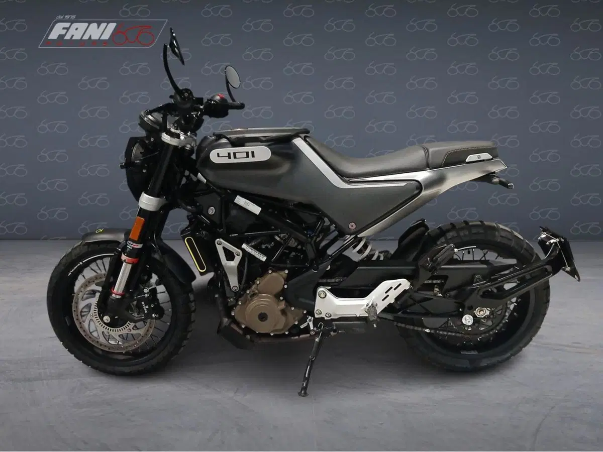 Husqvarna Svartpilen 401 (2021 - 23) (2)