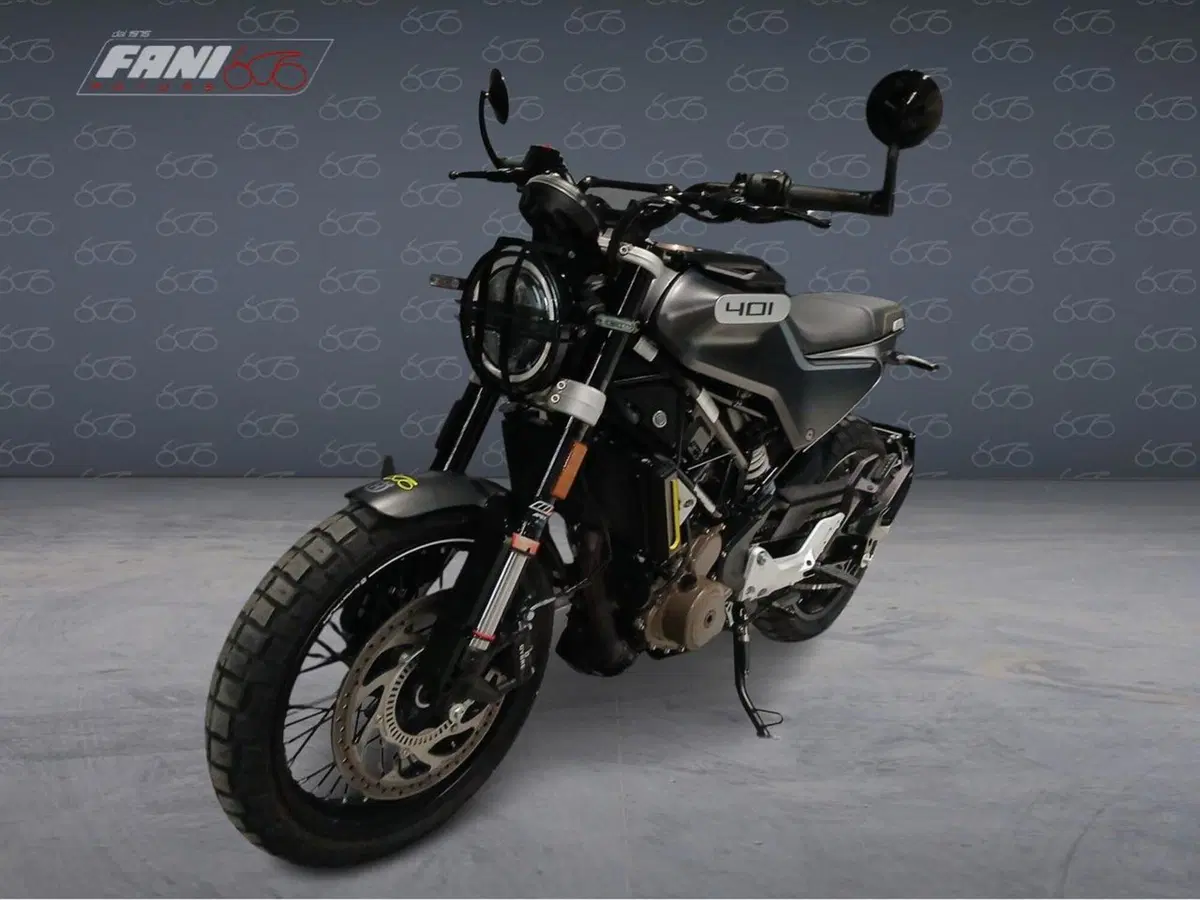 Husqvarna Svartpilen 401 (2021 - 23) (3)