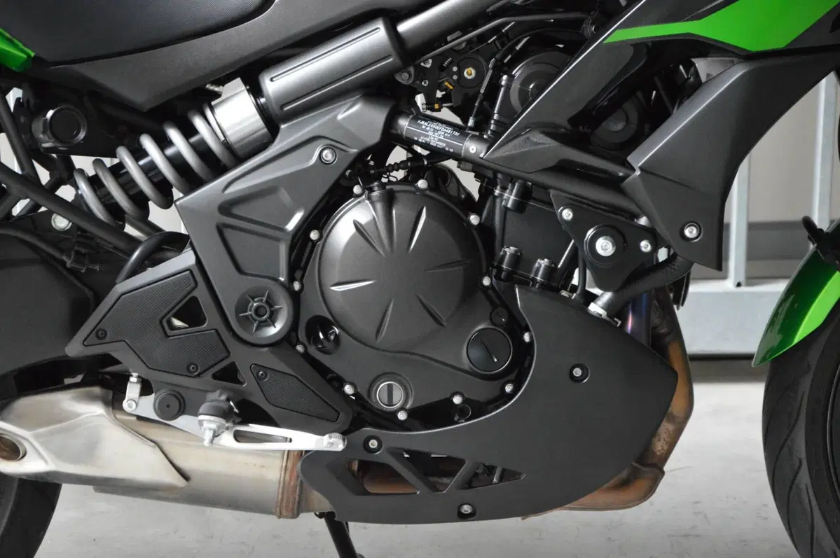Kawasaki Versys 650 (2021 - 24) (5)