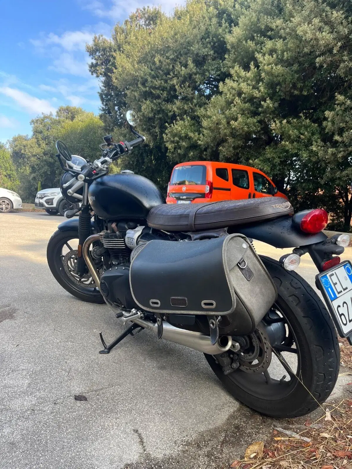 Triumph Street Twin 900 (2017 - 18) (9)