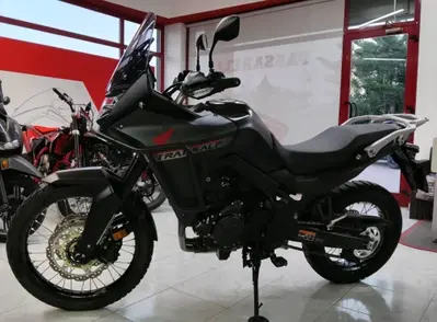 Honda Transalp XL750 (2023 - 24) usata