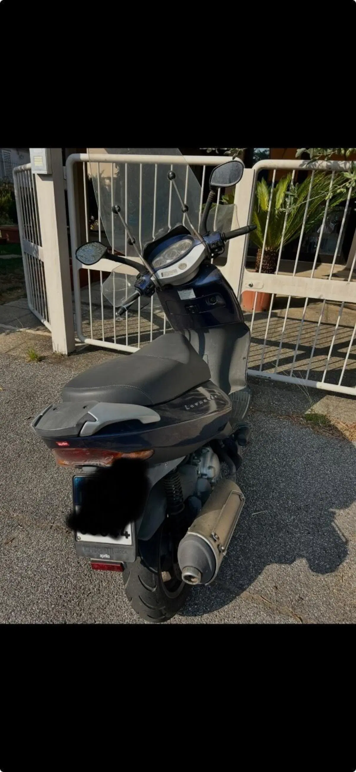 Aprilia Leonardo 250 (2001 - 04) ST (2)