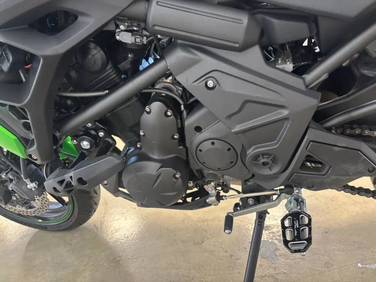 Kawasaki Versys 650 Grand Tourer (2022 - 24) (9)