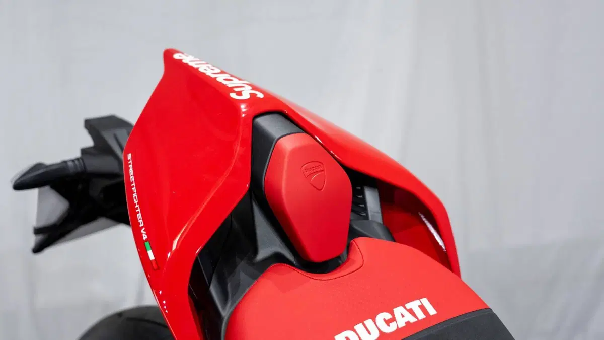 Ducati Streetfighter V4 S (2023 - 24) (4)