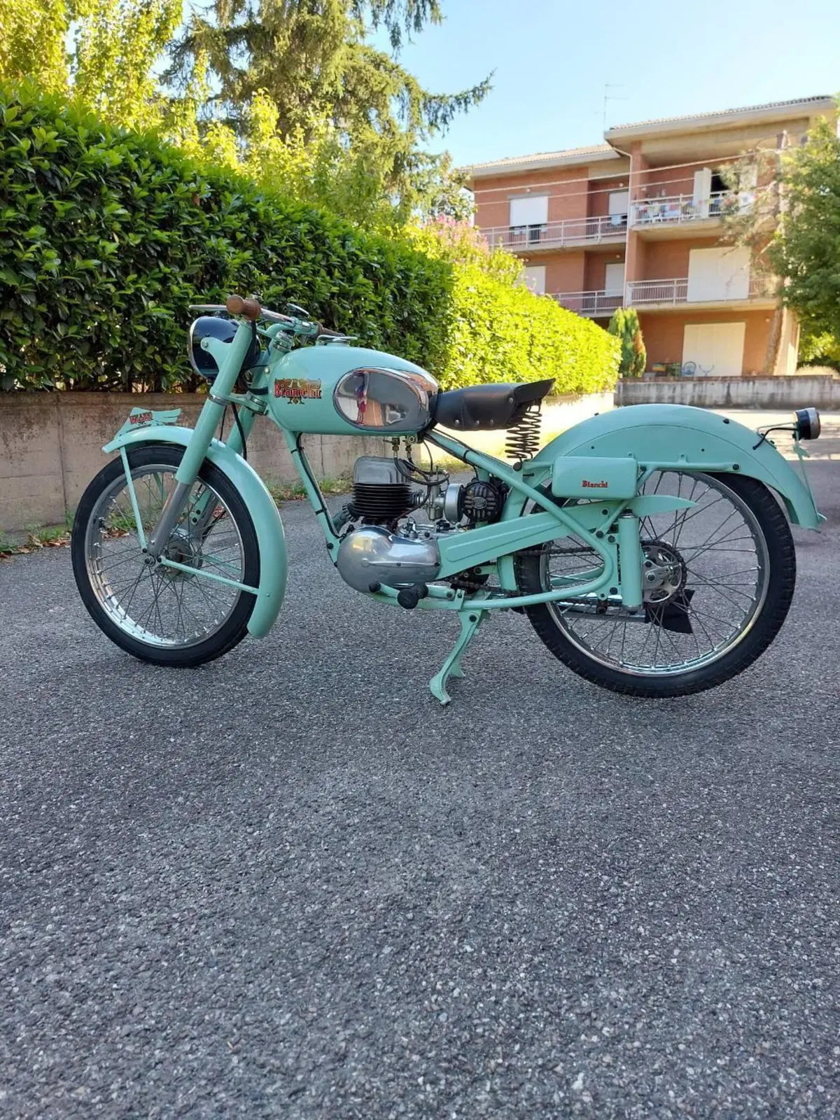 Bianchi Scudo del sud (3)