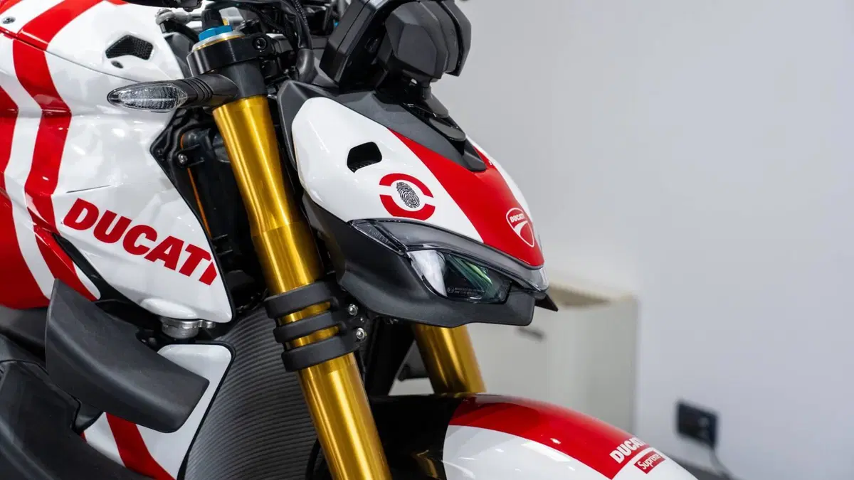 Ducati Streetfighter V4 S (2023 - 24) (17)