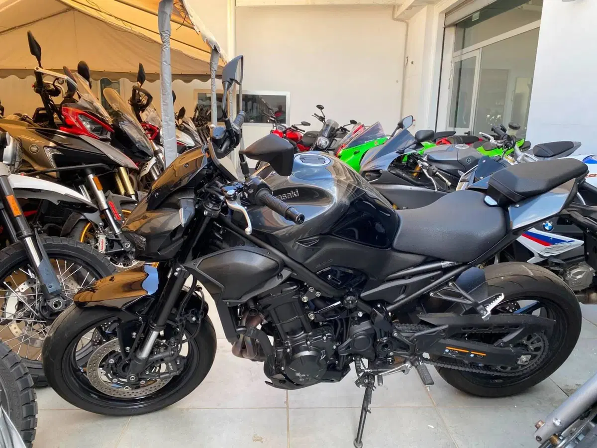 Kawasaki Z 900 (2025 - 26) (2)
