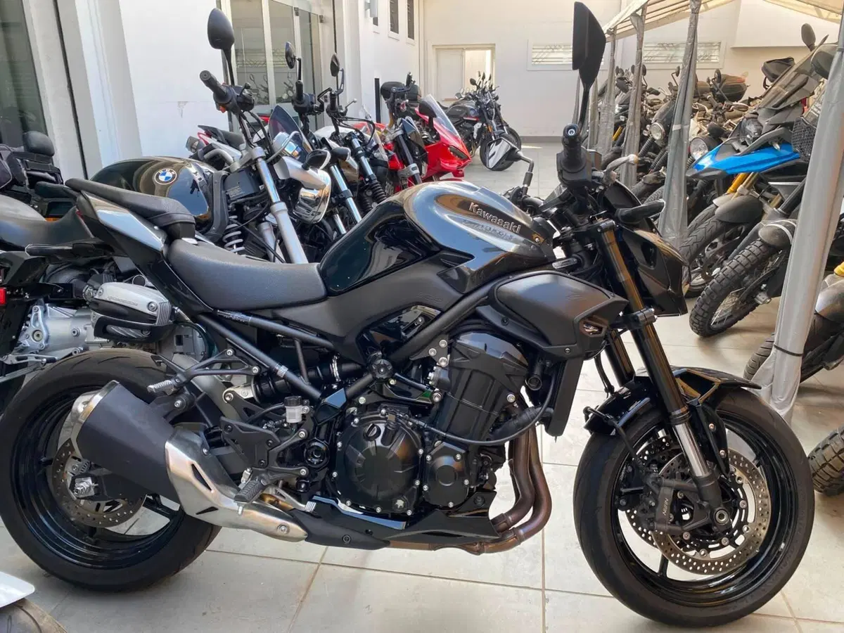 Kawasaki Z 900 (2025 - 26)
