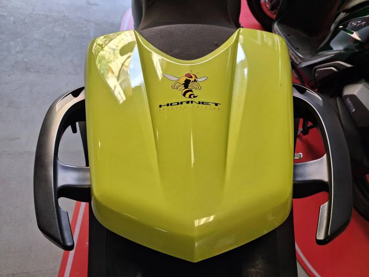 Honda Hornet 600 (2007 - 10) (6)