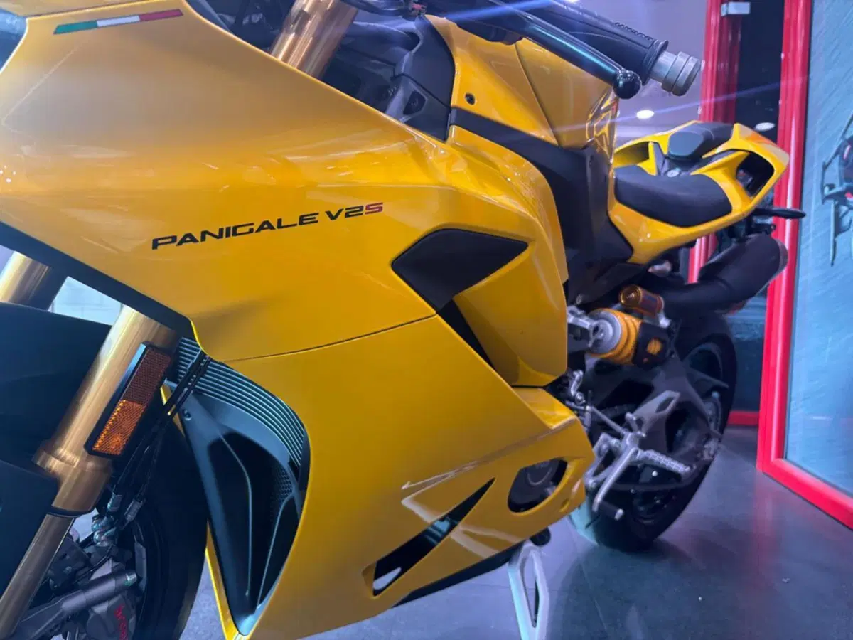 Ducati Panigale V2 S (2025 - 26) (6)