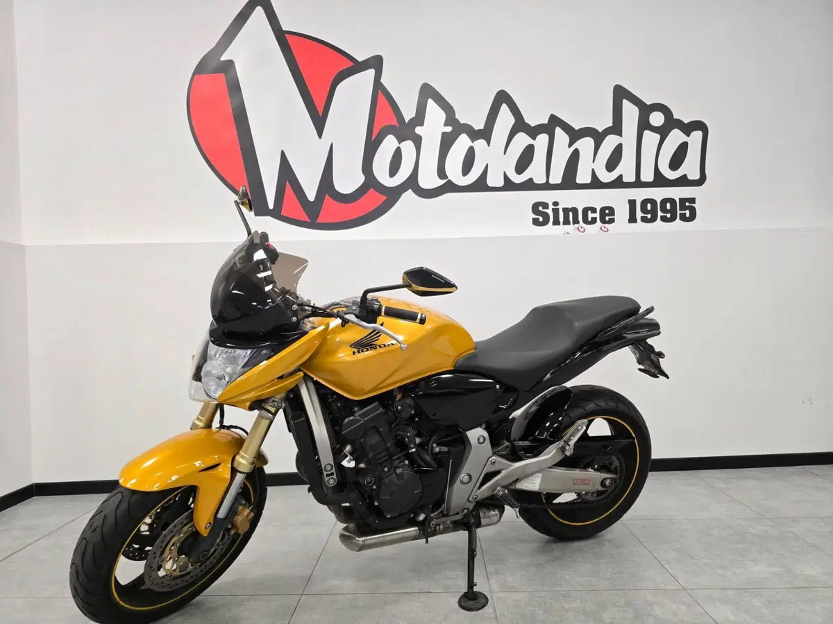 Honda Hornet 600 (2007 - 10) (2)