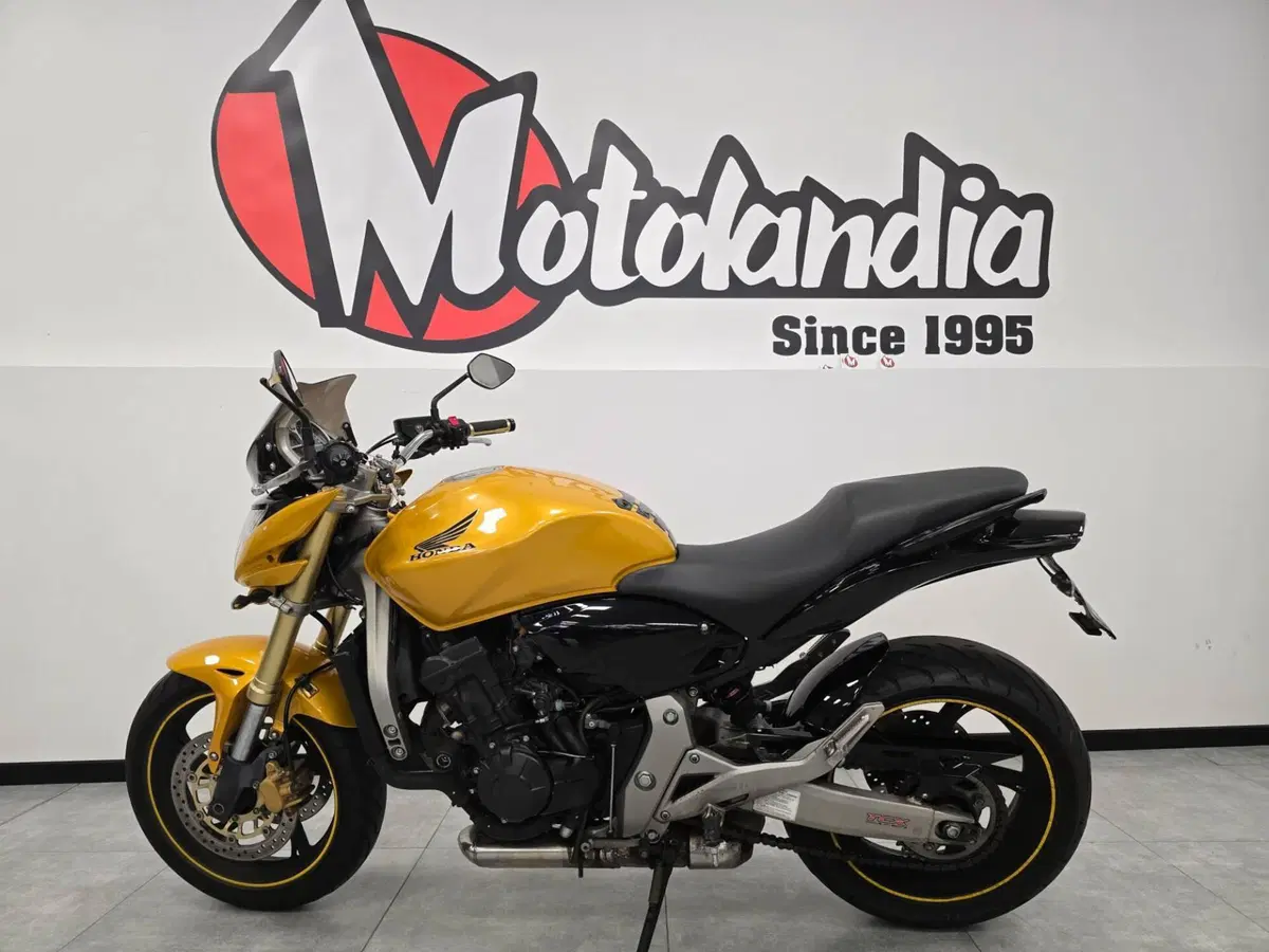 Honda Hornet 600 (2007 - 10) (3)