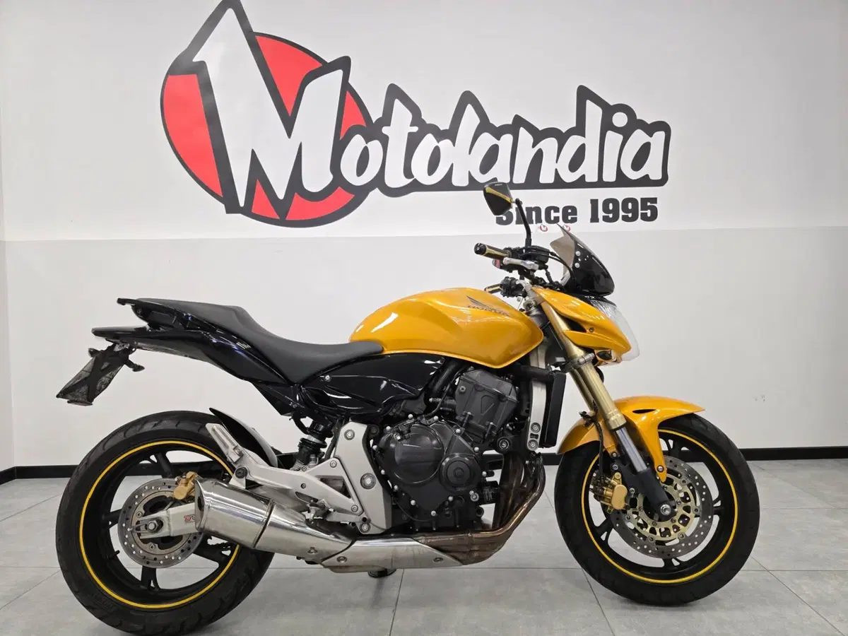 Honda Hornet 600 (2007 - 10) (4)