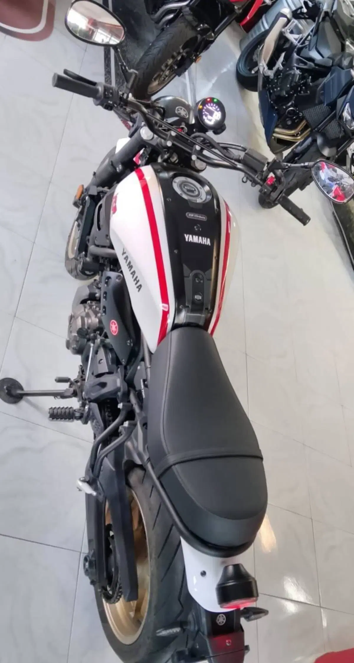 Yamaha XSR 700 XTribute (2022 - 24) (4)