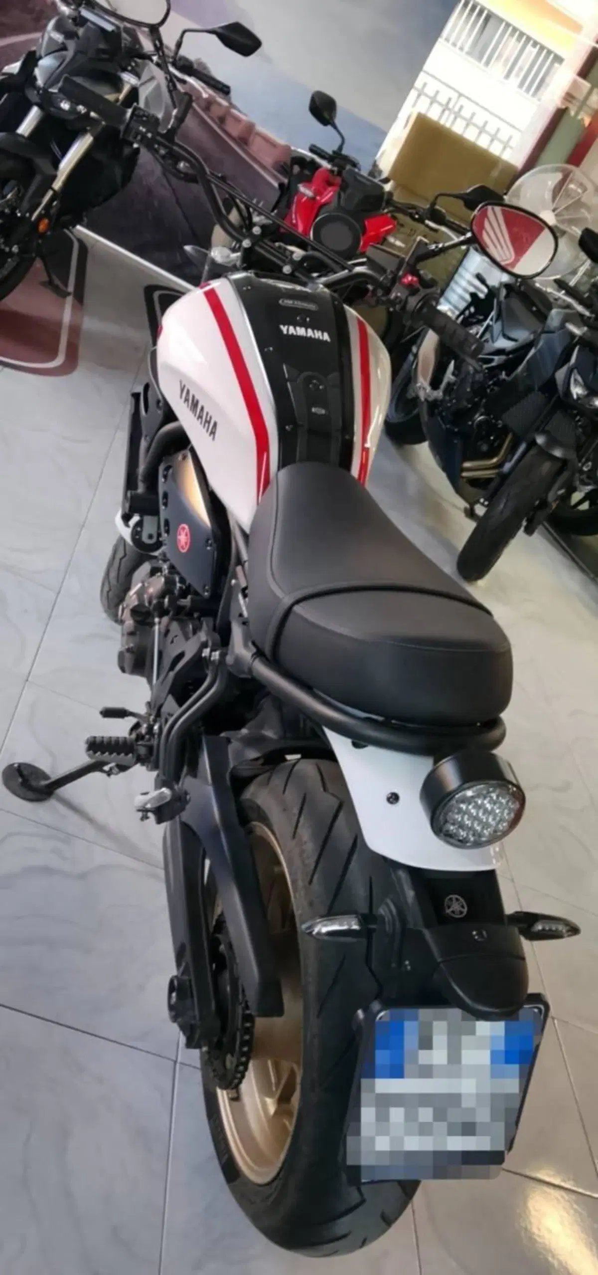 Yamaha XSR 700 XTribute (2022 - 24) (5)