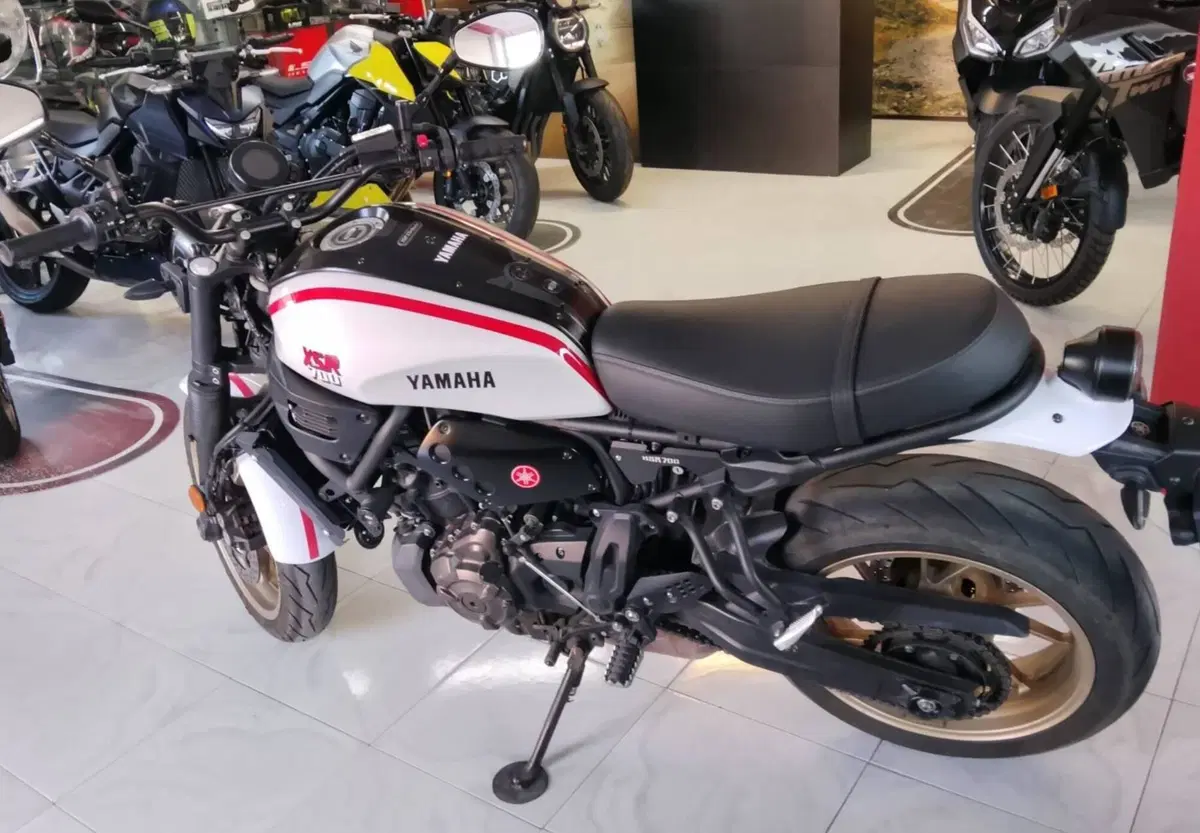 Yamaha XSR 700 XTribute (2022 - 24) (6)